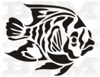 /album/ryby/ryby-18-jpg/